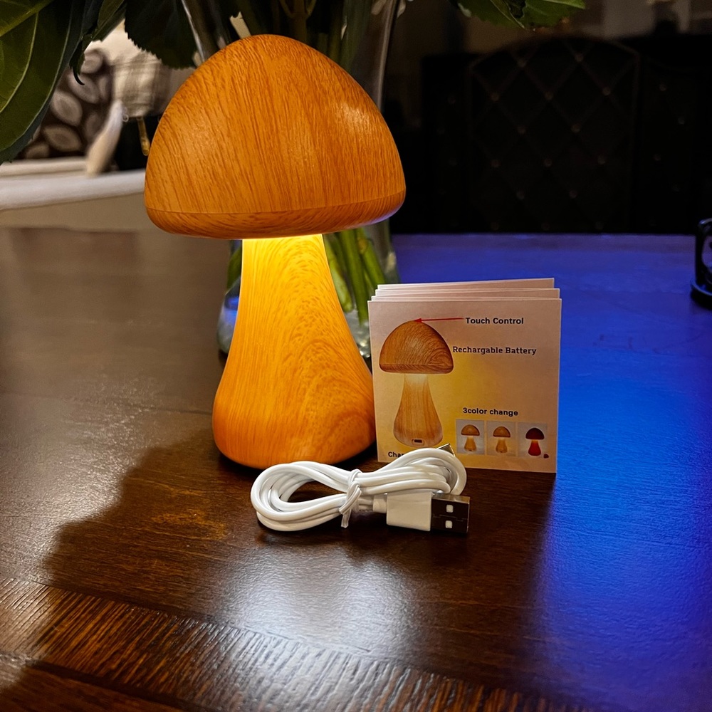 Mushroom Accent Lamp - Picture 3 of 4